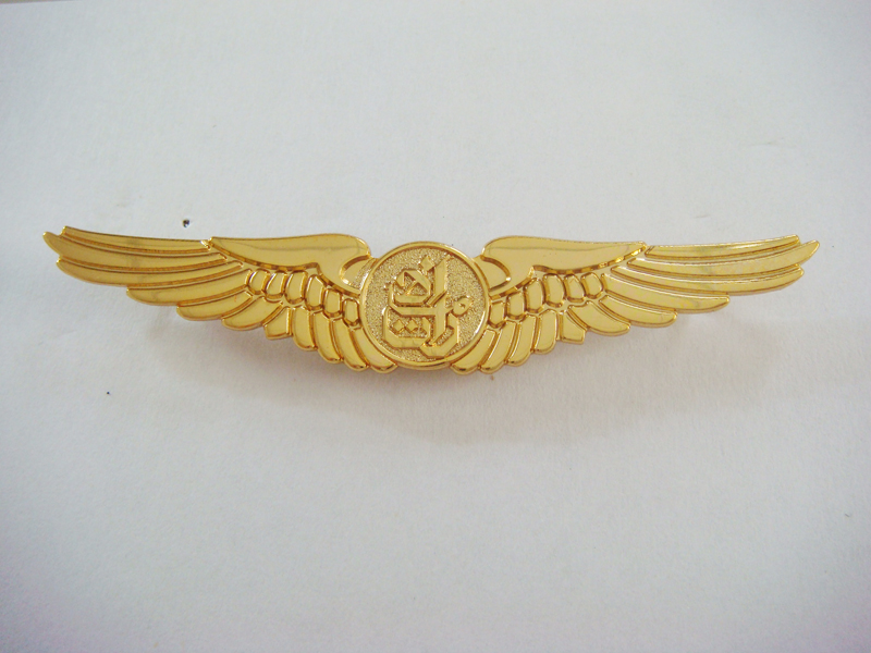 Lapel pin-AKG-057