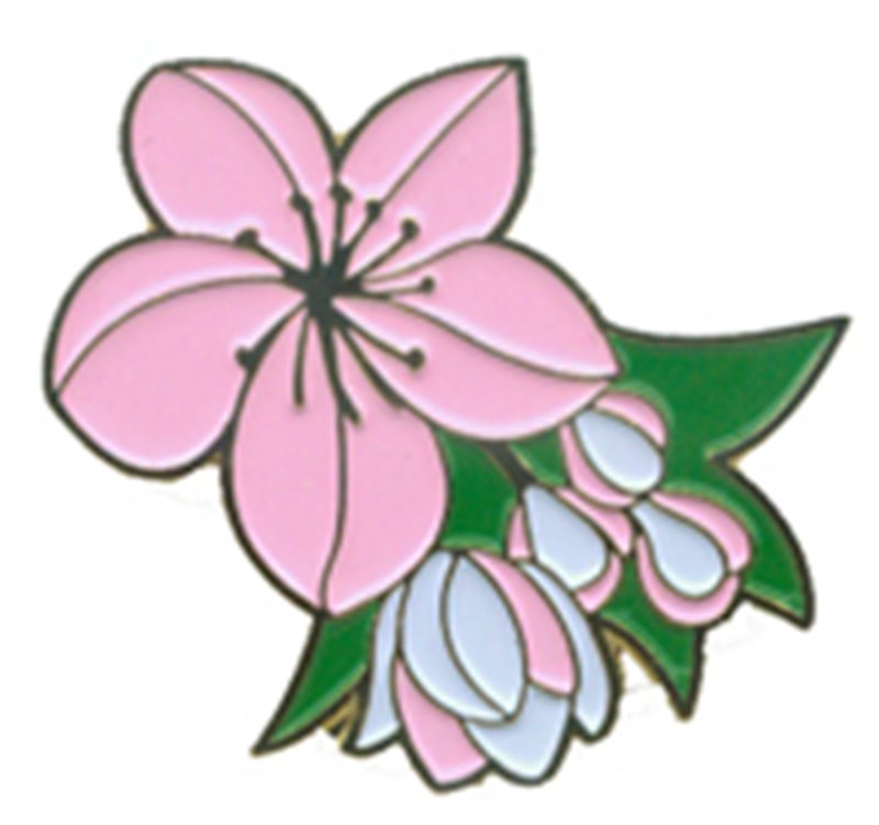 Lapel pin-AKG-02